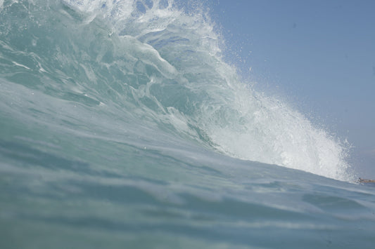 Meet the Board Member: Marisa Finding Her Waves