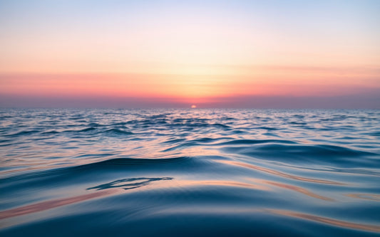 Meet the Co-Founder: How Steph Found Surf