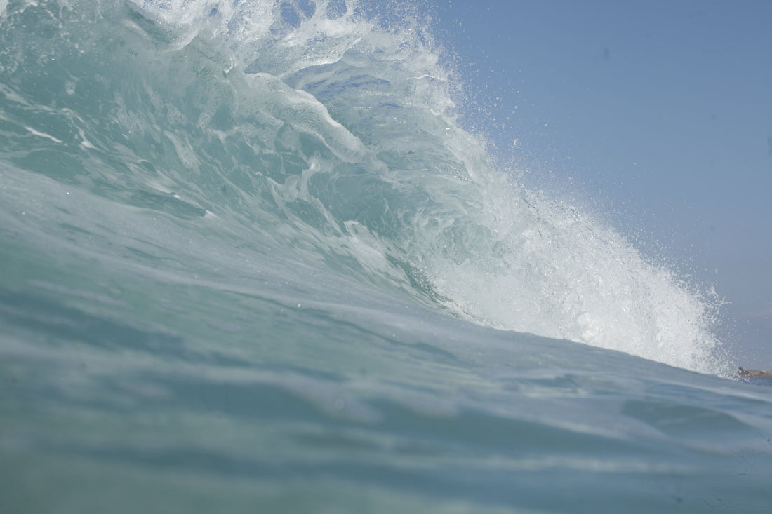 Meet the Board Member: Marisa Finding Her Waves